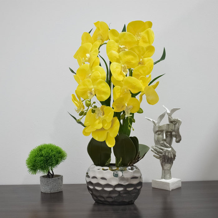 Orhidee cu aspect natural in ghiveci ceramic, 60 cm, Naimeed D4845, Galben