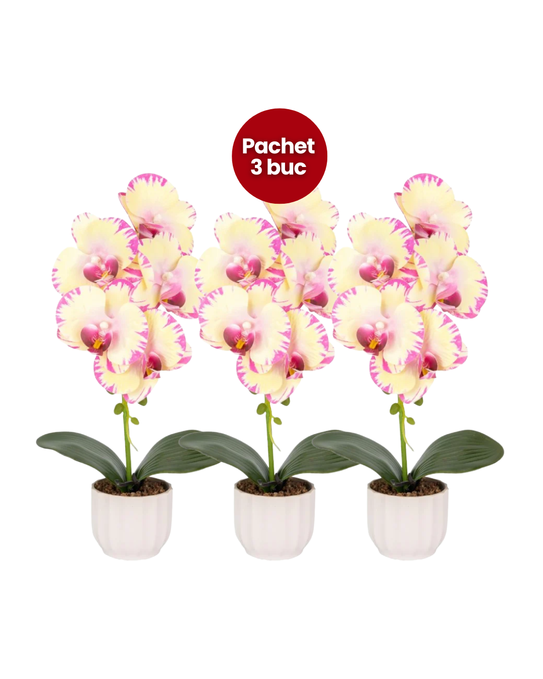 Pachet: 3 x Orhidee cu aspect natural în ghiveci ceramic, 42 cm, diverse culori ❘ D68__ pachet 3 buc