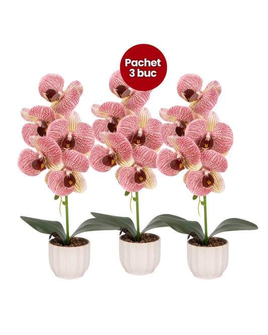 Pachet: 3 x Orhidee cu aspect natural în ghiveci ceramic, 42 cm, diverse culori ❘ D68__ pachet 3 buc