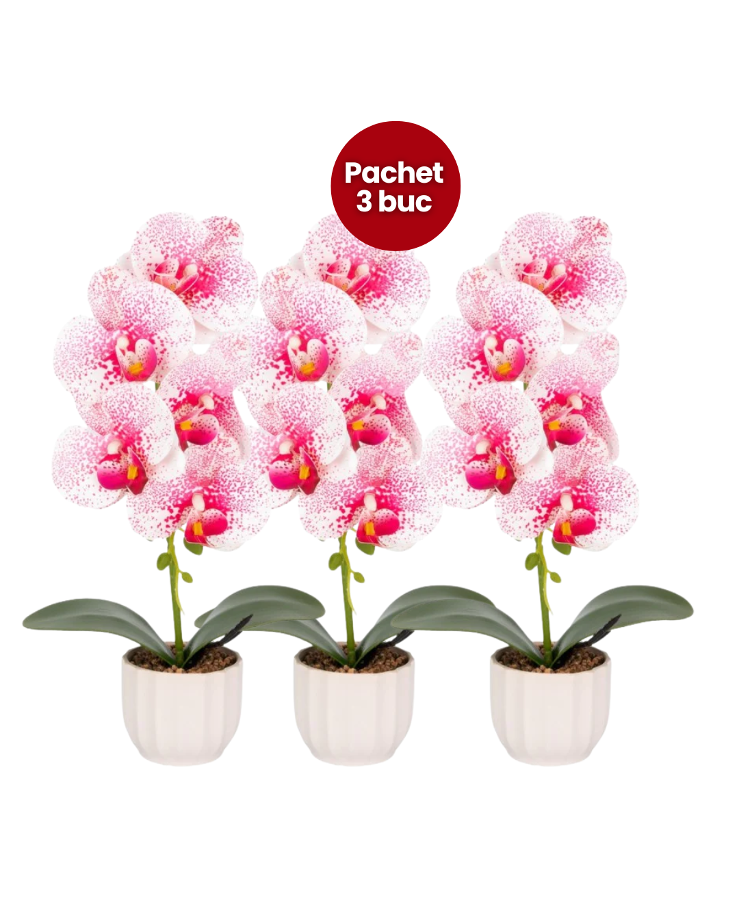 Pachet: 3 x Orhidee cu aspect natural în ghiveci ceramic, 42 cm, diverse culori ❘ D68__ pachet 3 buc