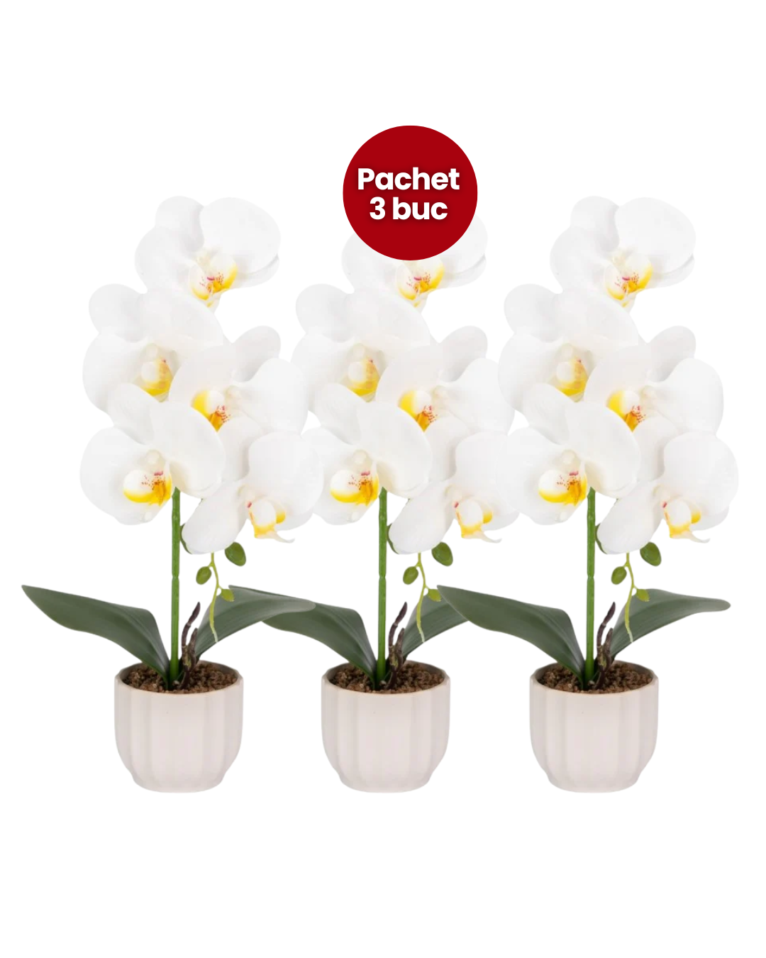 Pachet: 3 x Orhidee cu aspect natural în ghiveci ceramic, 42 cm, diverse culori ❘ D68__ pachet 3 buc