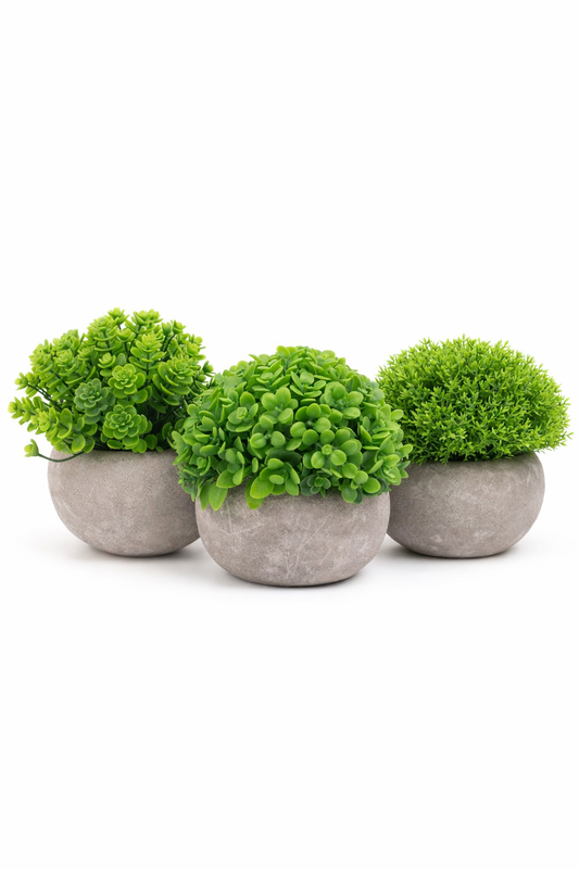 Pachet: 3 x Plante Artificiale, 12 x 10 cm, Verde ❘ D6933 / D6934 / D6935