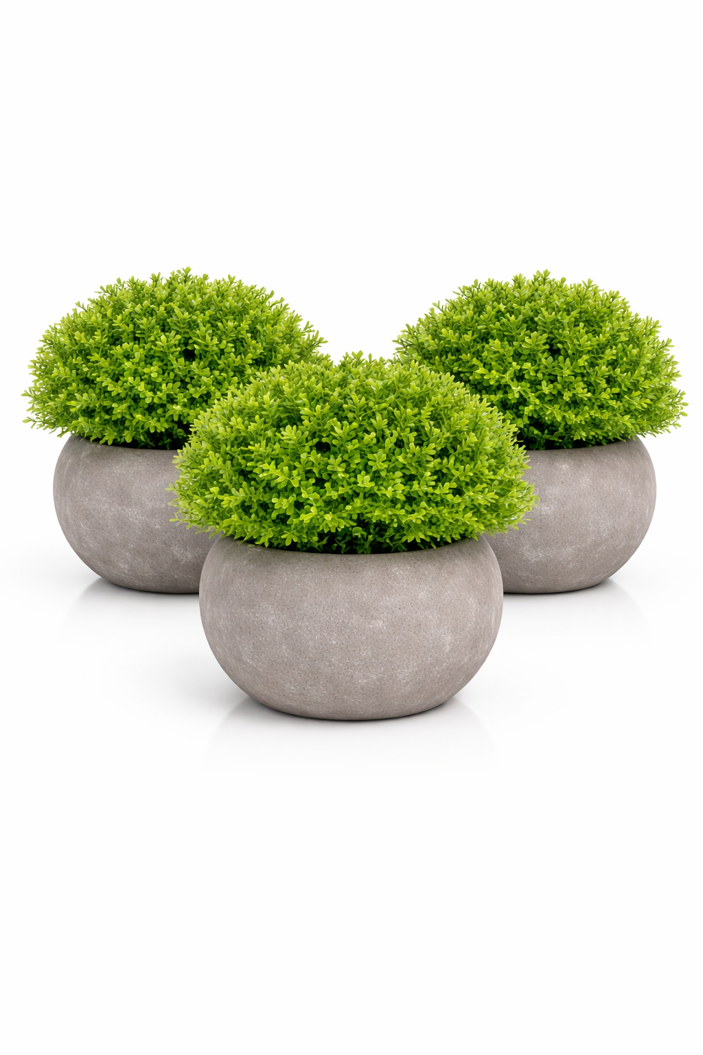 Pachet: 3 x Plante Artificiale, 12 x 10 cm, Verde ❘ D6933 / D6934 / D6935