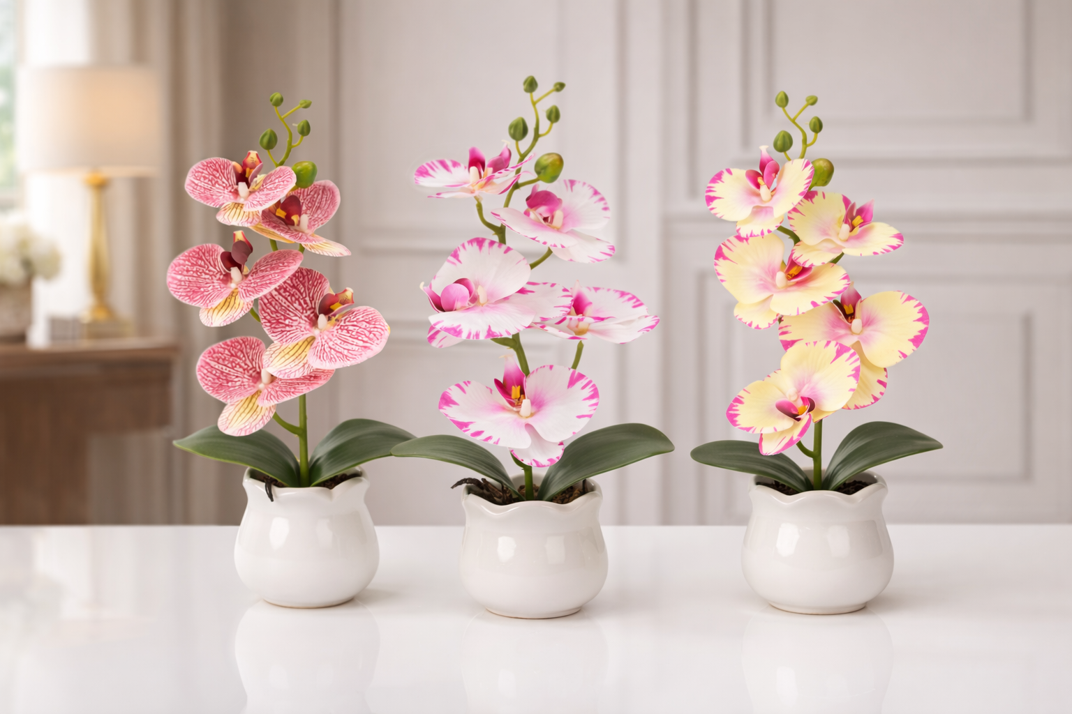 Pachet: 2 x Orhidee cu aspect natural în ghiveci ceramic, 49 cm, diverse culori ❘ D6894 / D6892 / D6891
