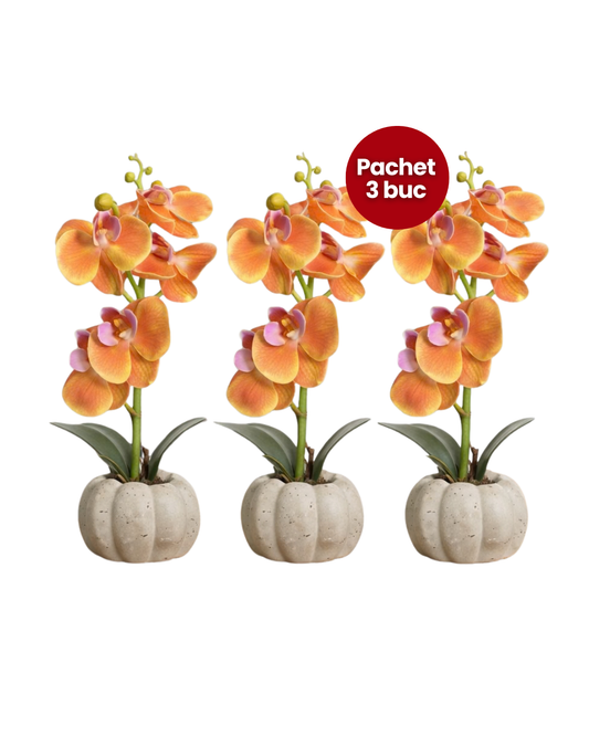 Pachet: 3 x Orhidee cu aspect natural în ghiveci ceramic, 30 cm, diverse culori ❘ D4856