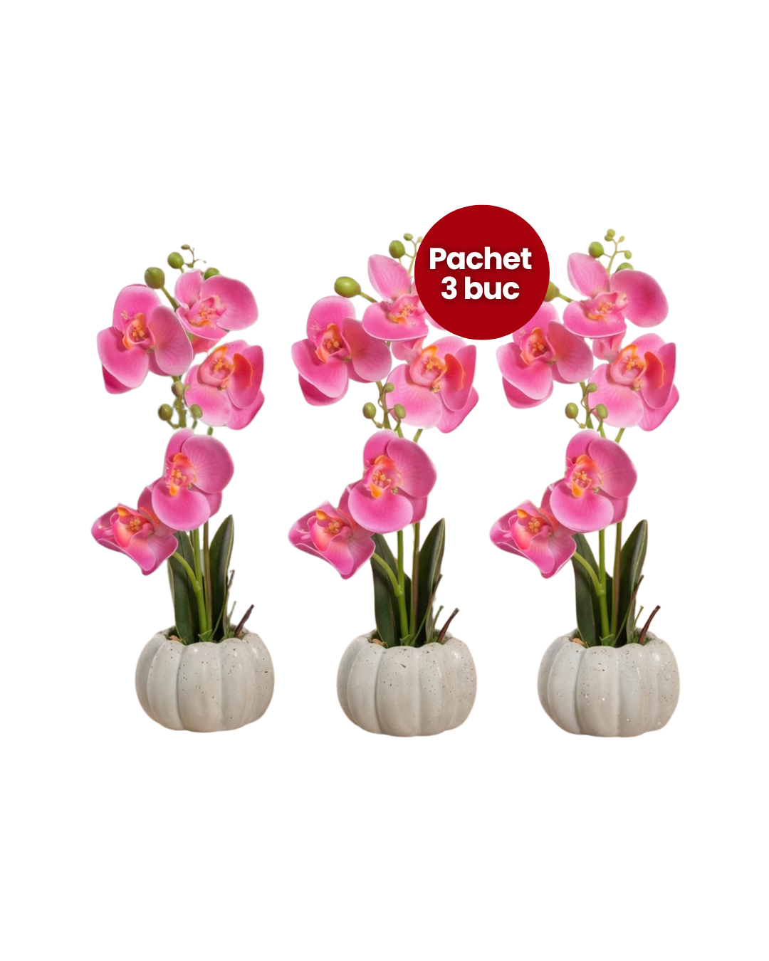 Pachet: 3 x Orhidee cu aspect natural în ghiveci ceramic, 30 cm, diverse culori ❘ D4856