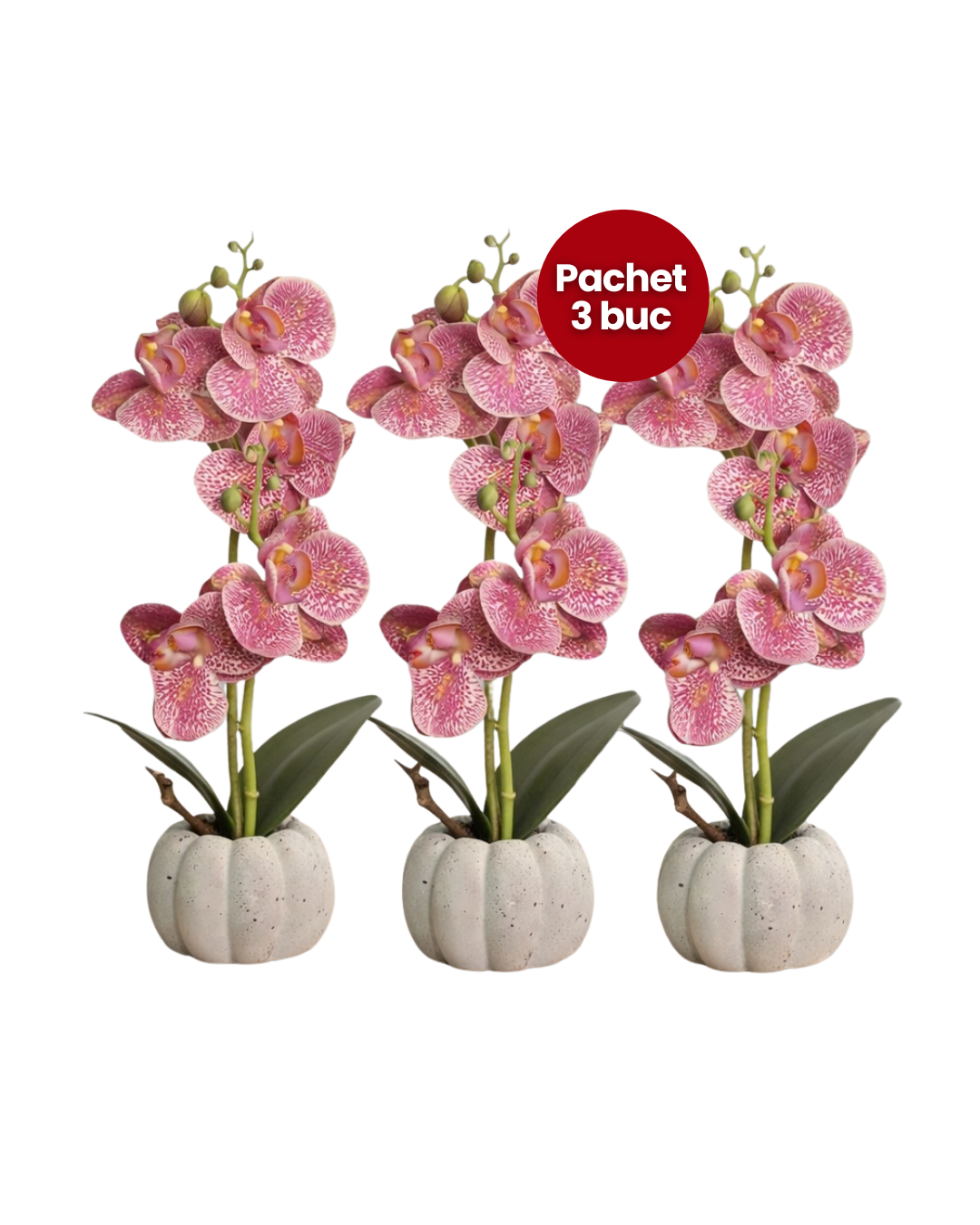Pachet: 3 x Orhidee cu aspect natural în ghiveci ceramic, 30 cm, diverse culori ❘ D4856