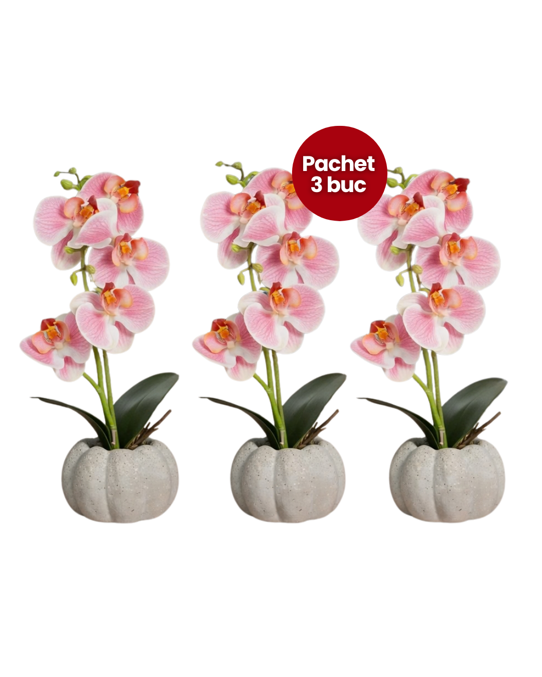 Pachet: 3 x Orhidee cu aspect natural în ghiveci ceramic, 30 cm, diverse culori ❘ D4856