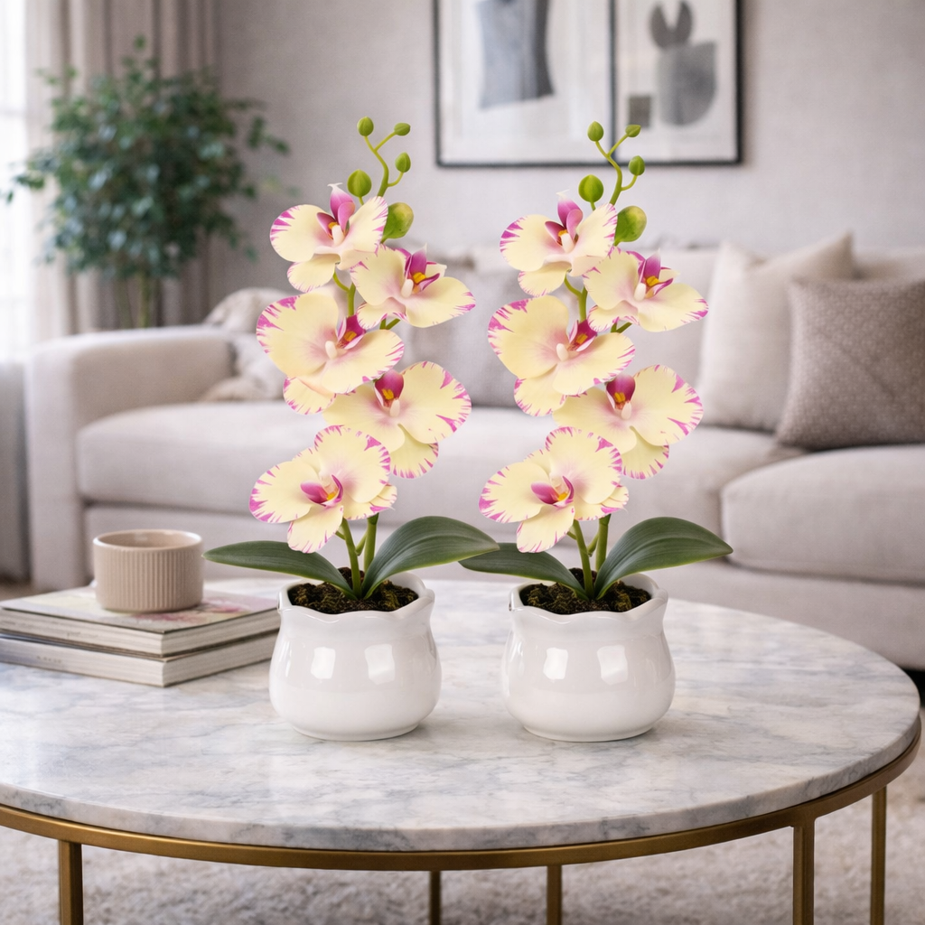 Pachet: 2 x Orhidee cu aspect natural în ghiveci ceramic, 49 cm, diverse culori ❘ D6894 / D6892 / D6891