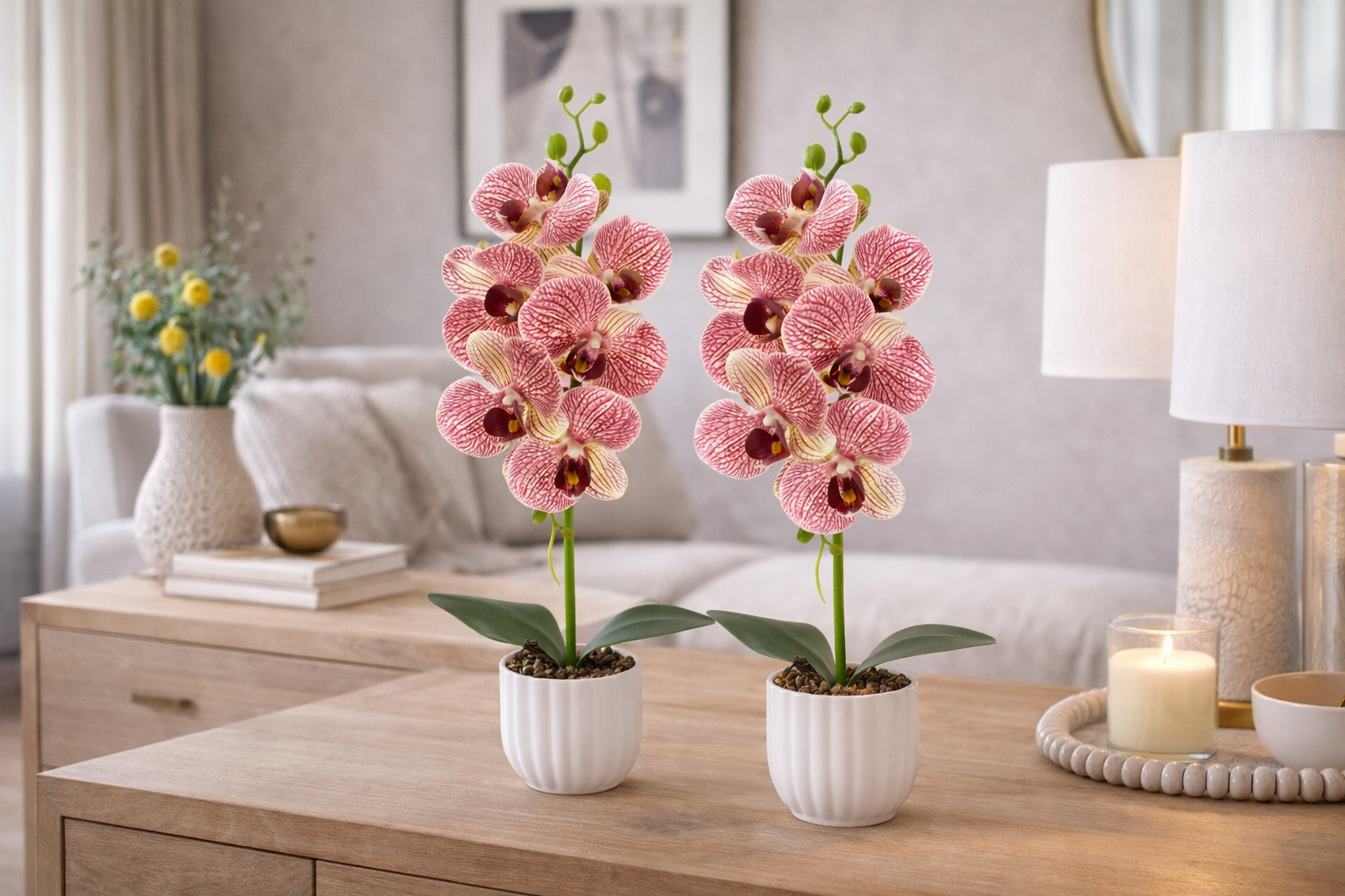 Pachet: 2 x Orhidee cu aspect natural în ghiveci ceramic, 42 cm, diverse culori ❘ D6881 / D6880 / D6879 / D6882