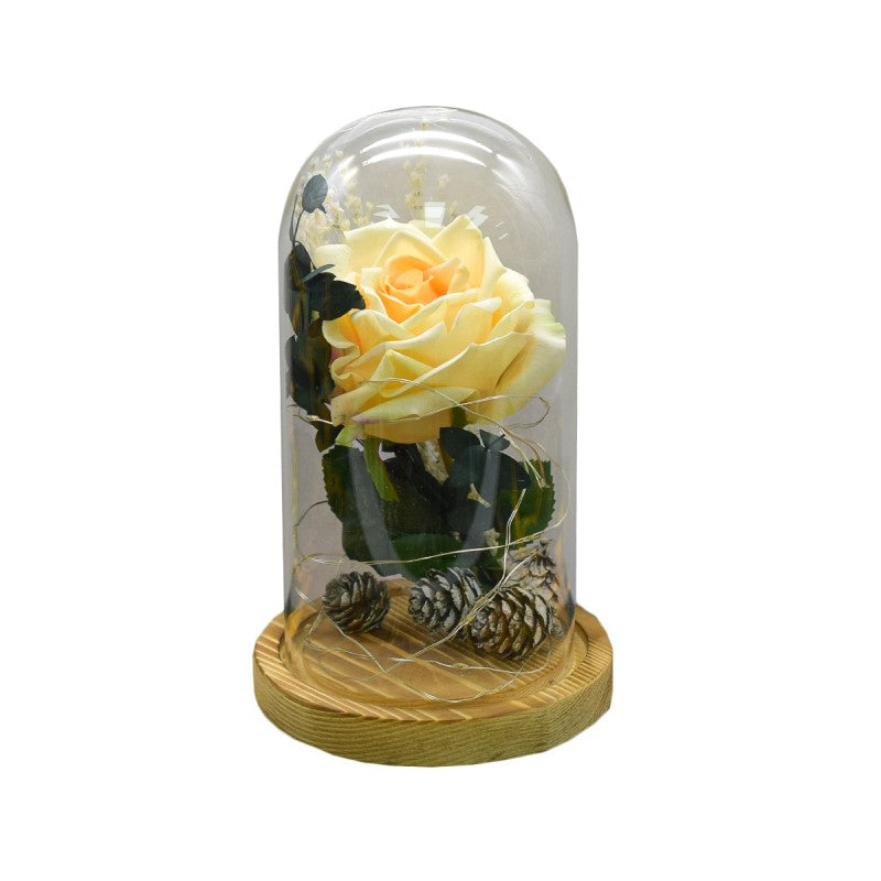 Aranjament Floral în Cupolă de Sticlă, Lumina Led, Diverse Modele ❘ D4029 / D4004