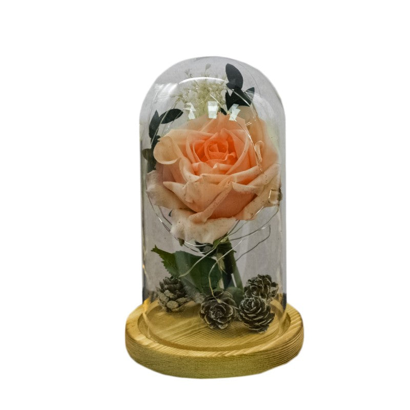 Aranjament Floral în Cupolă de Sticlă, Lumina Led, Diverse Modele ❘ D4029 / D4004