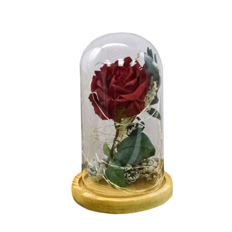 Aranjament Floral în Cupolă de Sticlă, Lumina Led, Diverse Modele ❘ D4029 / D4004
