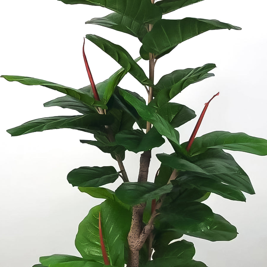 Plantă artificială, fără ghiveci, tip Ficus, Naimeed, 1.65m, Verde | D4286.FG