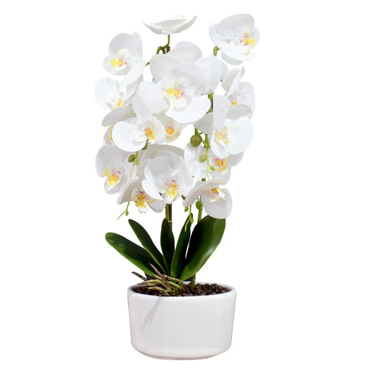 Orhidee cu Aspect Natural în Ghiveci Ceramic, 50 cm, Diverse Culori ❘ D4848