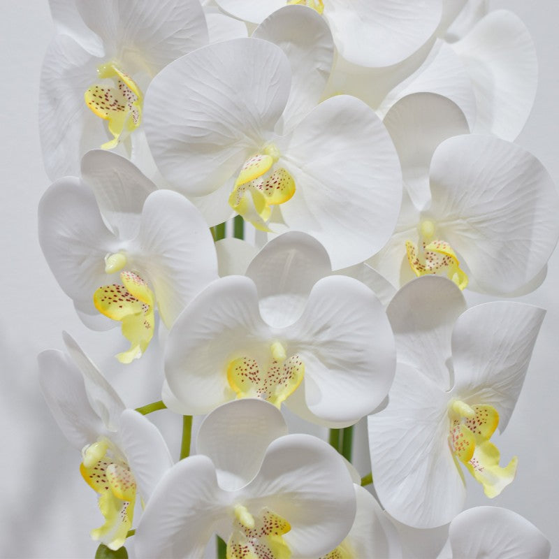 Orhidee cu Aspect Natural în Ghiveci Ceramic, 50 cm, Diverse Culori ❘ D4848