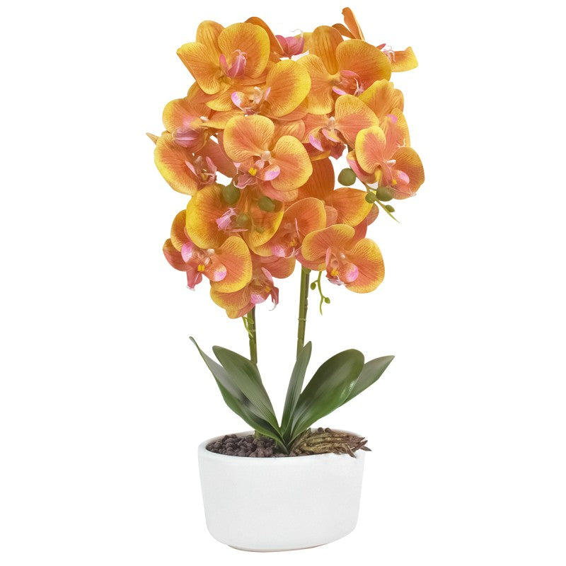 Orhidee cu Aspect Natural în Ghiveci Ceramic, 50 cm, Diverse Culori ❘ D4848