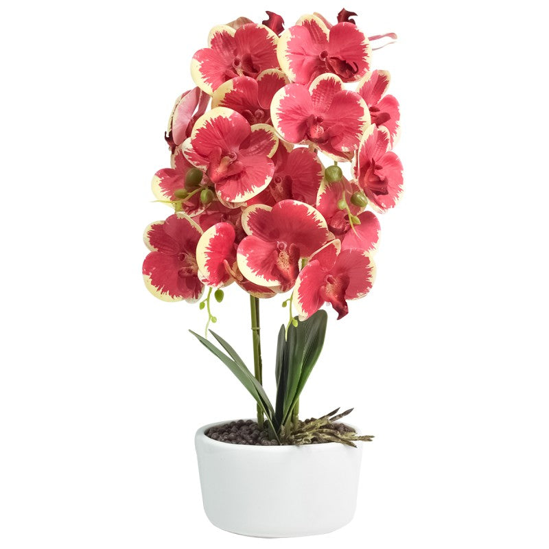 Orhidee cu Aspect Natural în Ghiveci Ceramic, 50 cm, Diverse Culori ❘ D4848