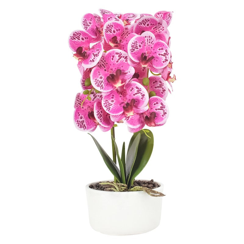 Orhidee cu Aspect Natural în Ghiveci Ceramic, 50 cm, Diverse Culori ❘ D4848