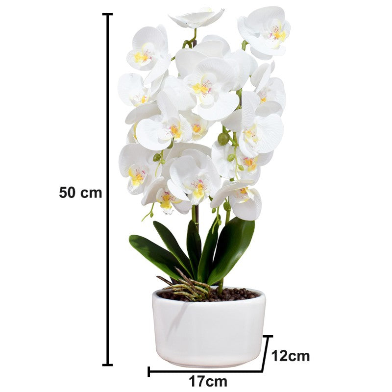 Orhidee cu Aspect Natural în Ghiveci Ceramic, 50 cm, Diverse Culori ❘ D4848