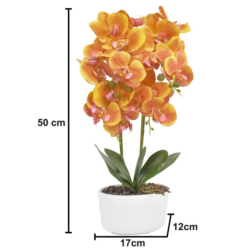 Orhidee cu Aspect Natural în Ghiveci Ceramic, 50 cm, Diverse Culori ❘ D4848