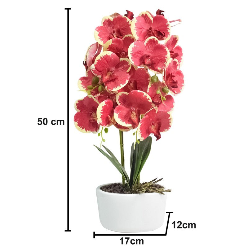 Orhidee cu Aspect Natural în Ghiveci Ceramic, 50 cm, Diverse Culori ❘ D4848