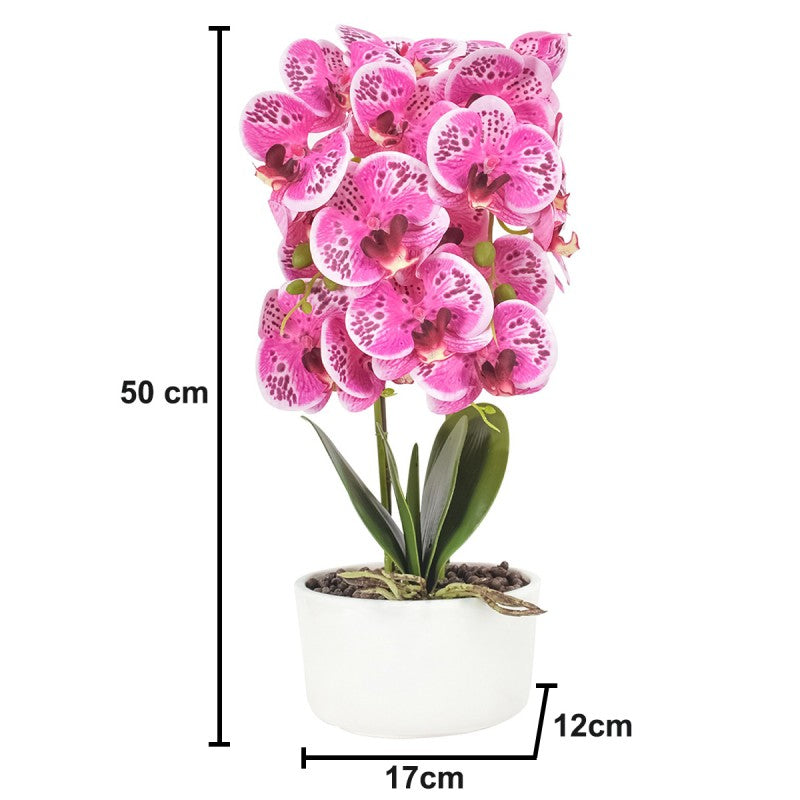Orhidee cu Aspect Natural în Ghiveci Ceramic, 50 cm, Diverse Culori ❘ D4848