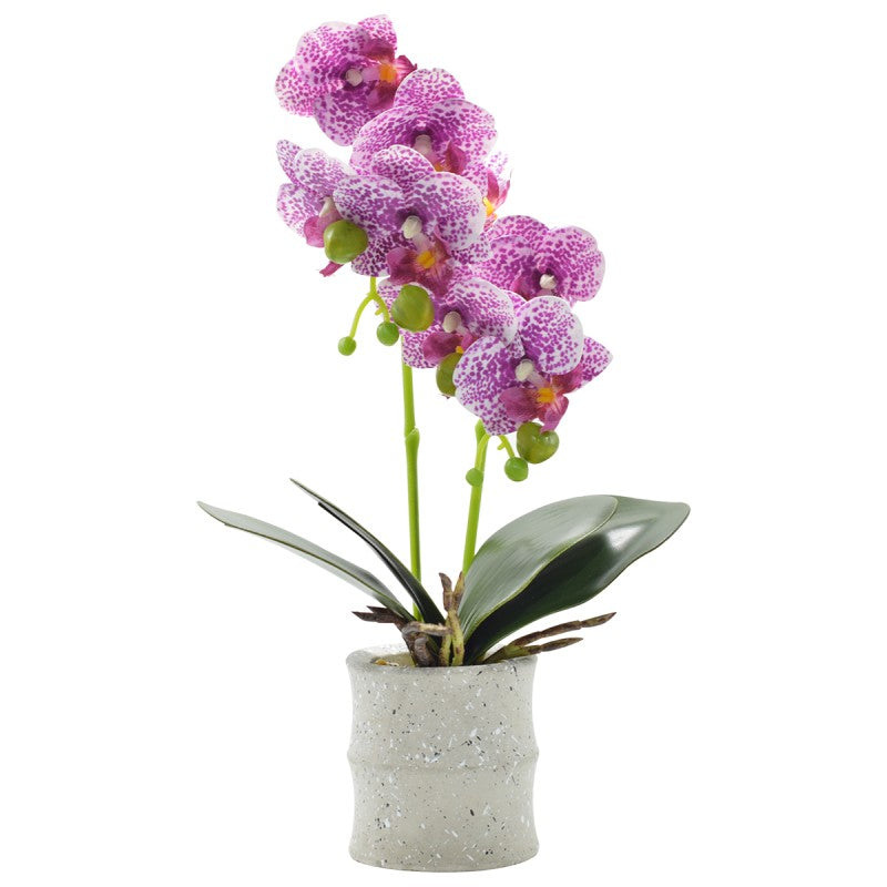 Pachet: 3 x Orhidee cu aspect natural în ghiveci ceramic, 35 cm, diverse culori ❘ D4849