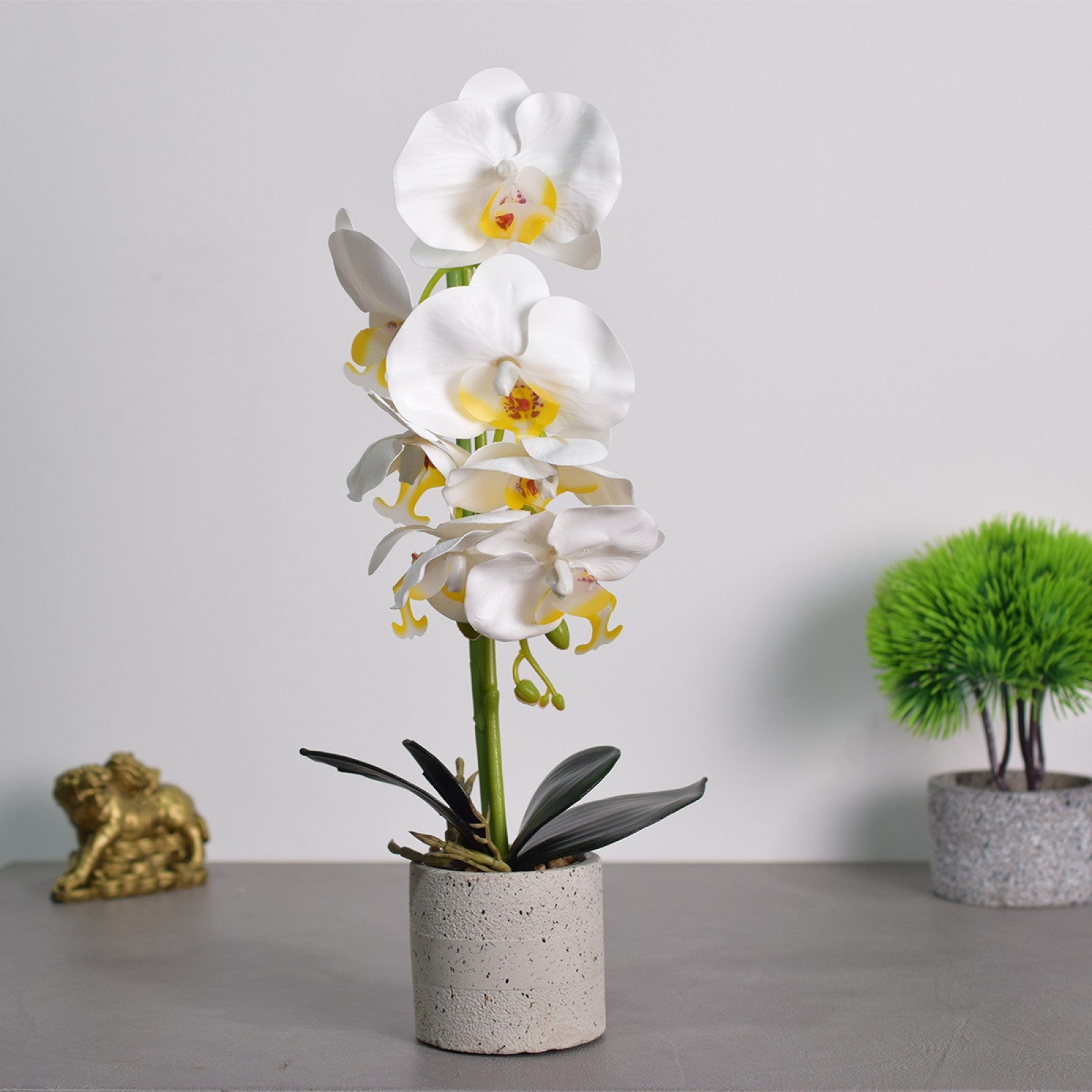 Set: 2 x Orhidee cu aspect natural în ghiveci ceramic, 36 cm, diverse culori ❘ D4850