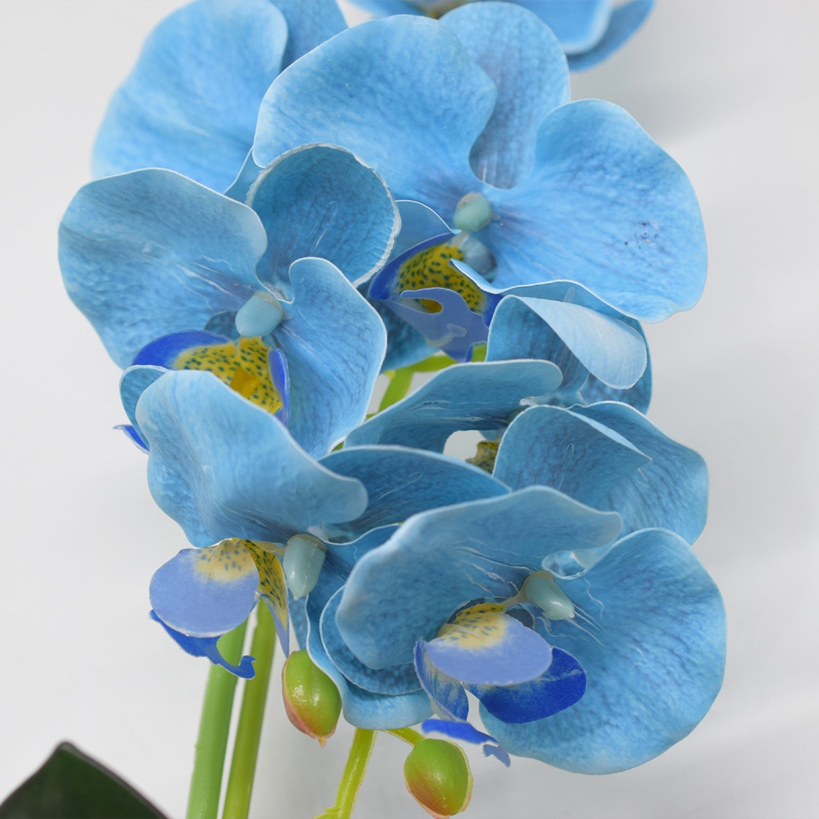 Set: 2 x Orhidee cu aspect natural în ghiveci ceramic, 36 cm, diverse culori ❘ D4850