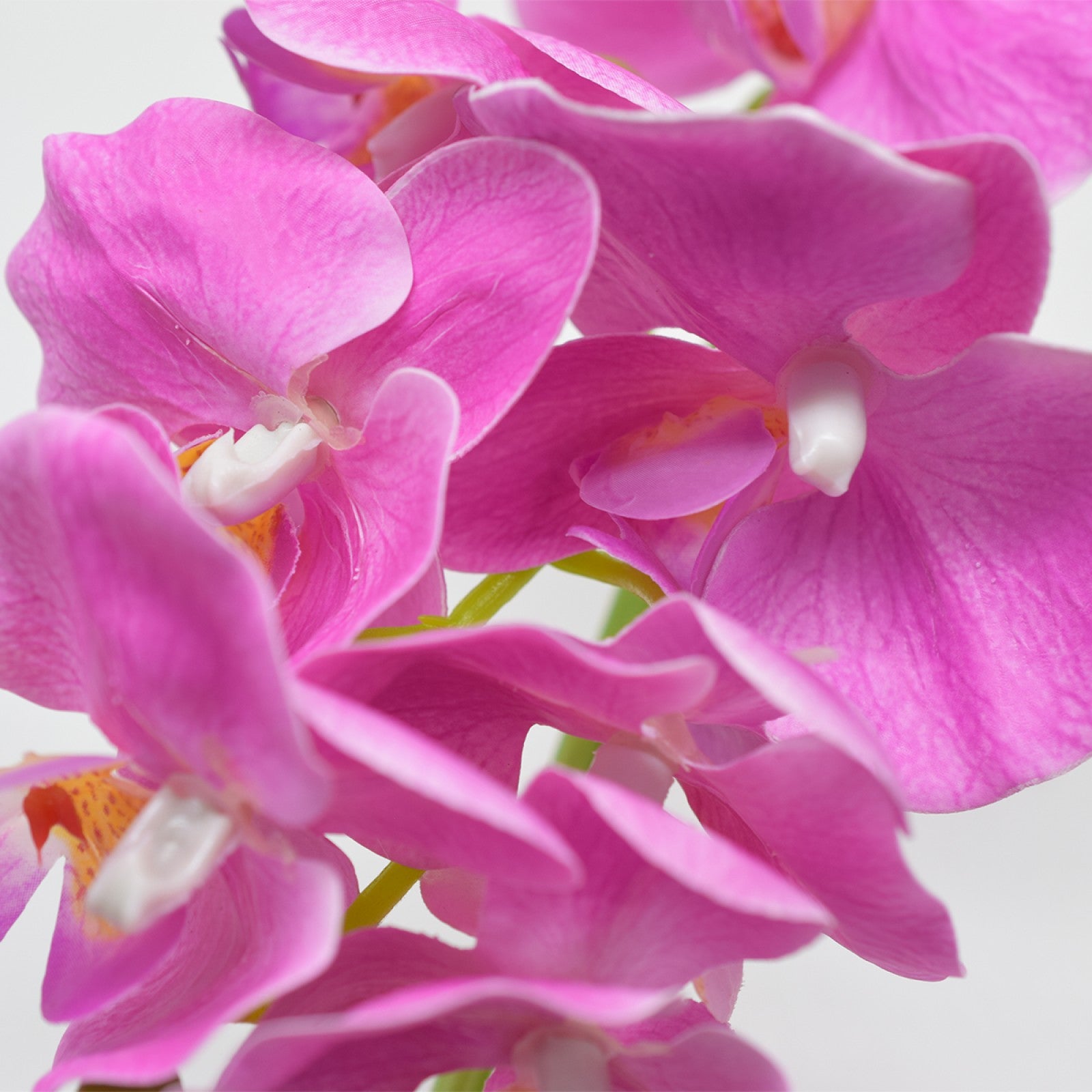 Set: 2 x Orhidee cu aspect natural în ghiveci ceramic, 36 cm, diverse culori ❘ D4850