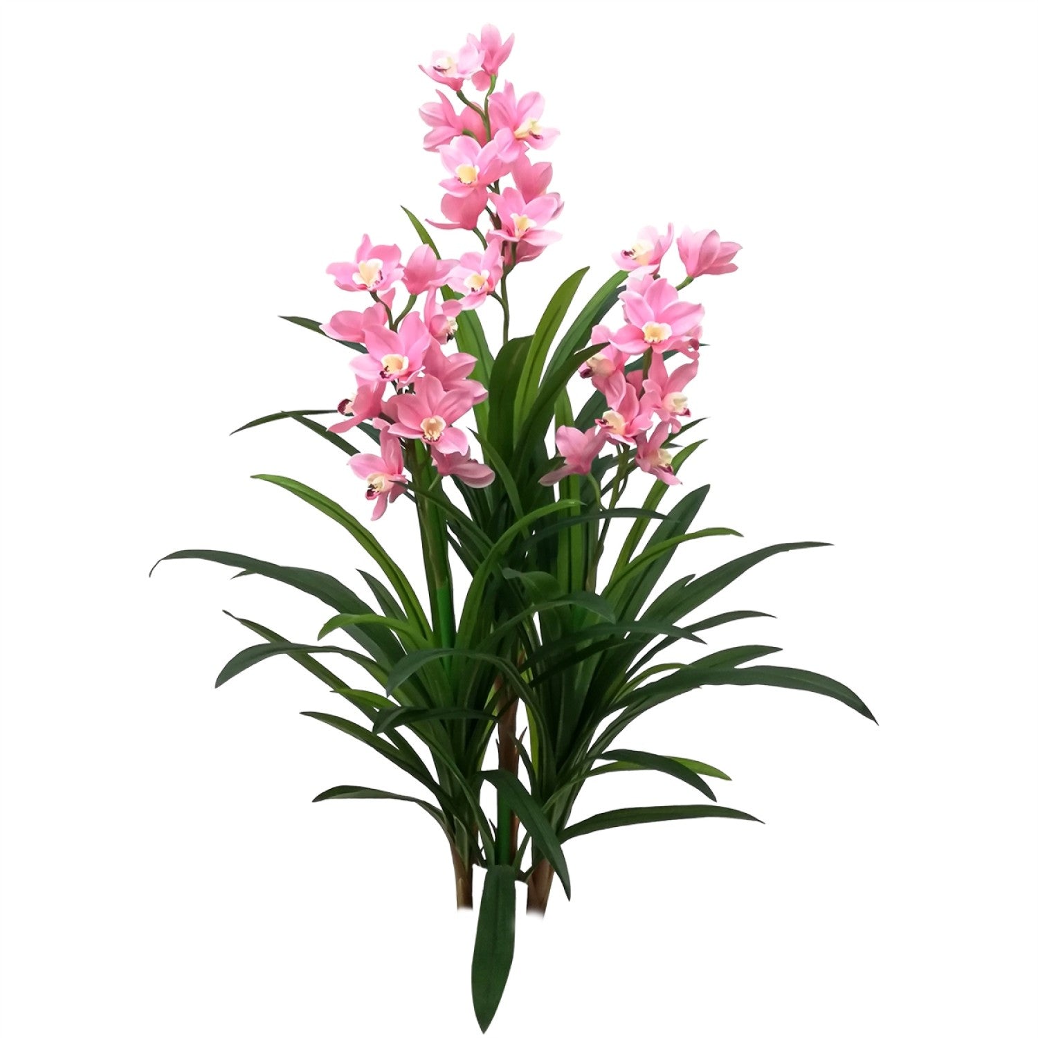 Orhidee barcă fără ghiveci, 120x100 cm, Alb/Roz ❘ D5620