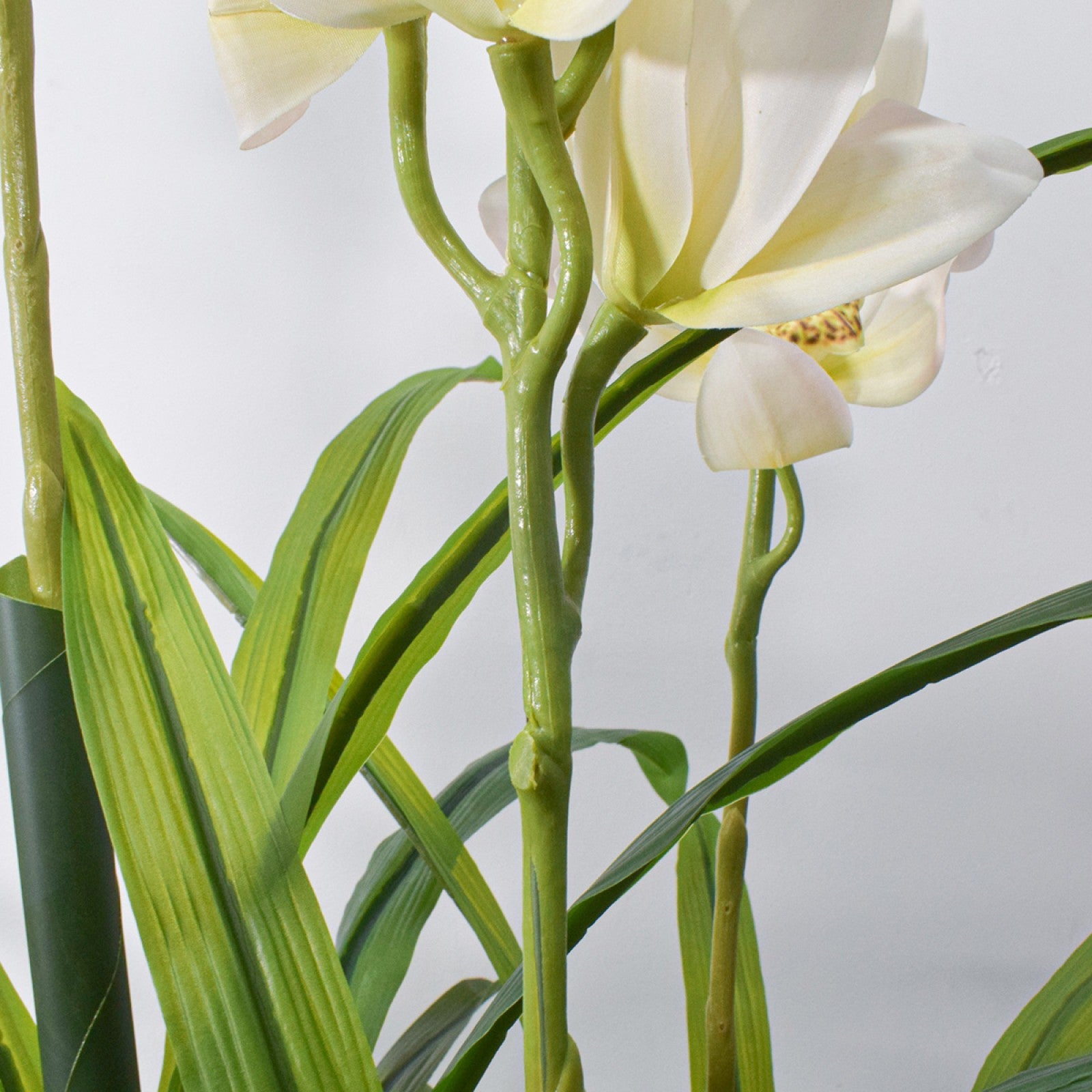 Orhidee molie fără ghiveci, 100x84 cm, Alb/Roz/Portocaliu ❘ D5621