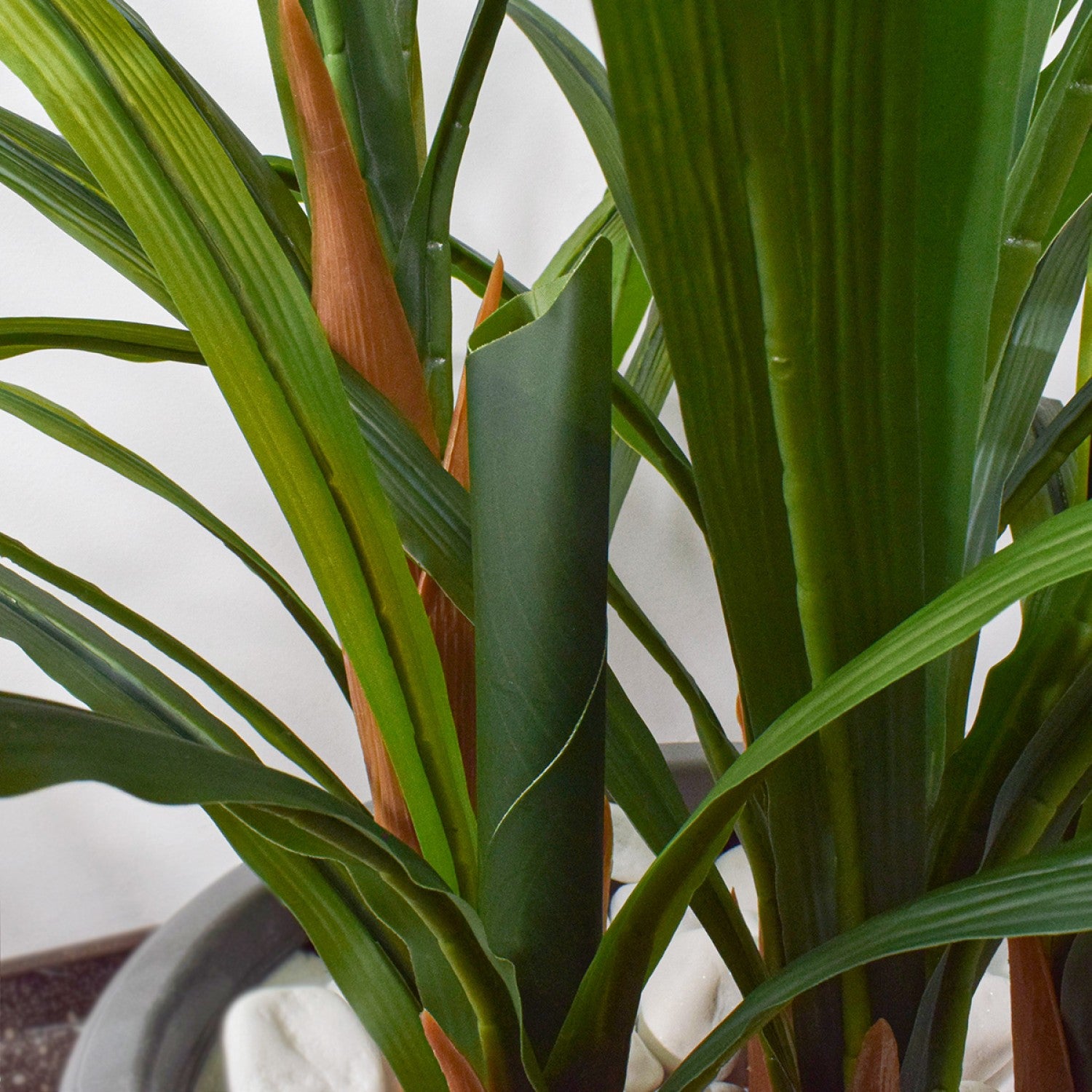 Orhidee barcă fără ghiveci, 120x100 cm, Alb/Roz ❘ D5620