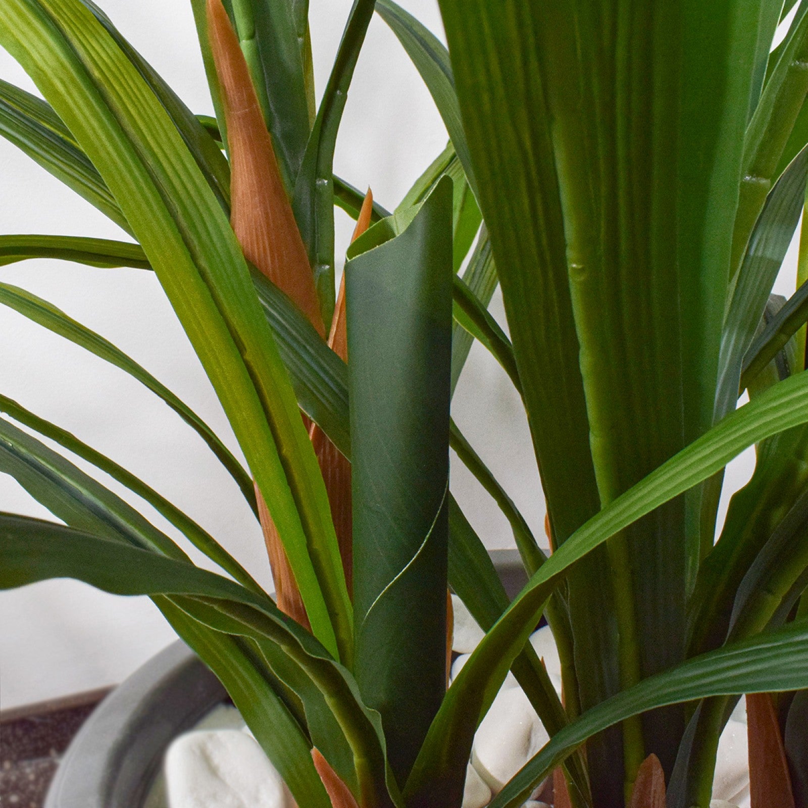 Orhidee molie fără ghiveci, 100x84 cm, Alb/Roz/Portocaliu ❘ D5621