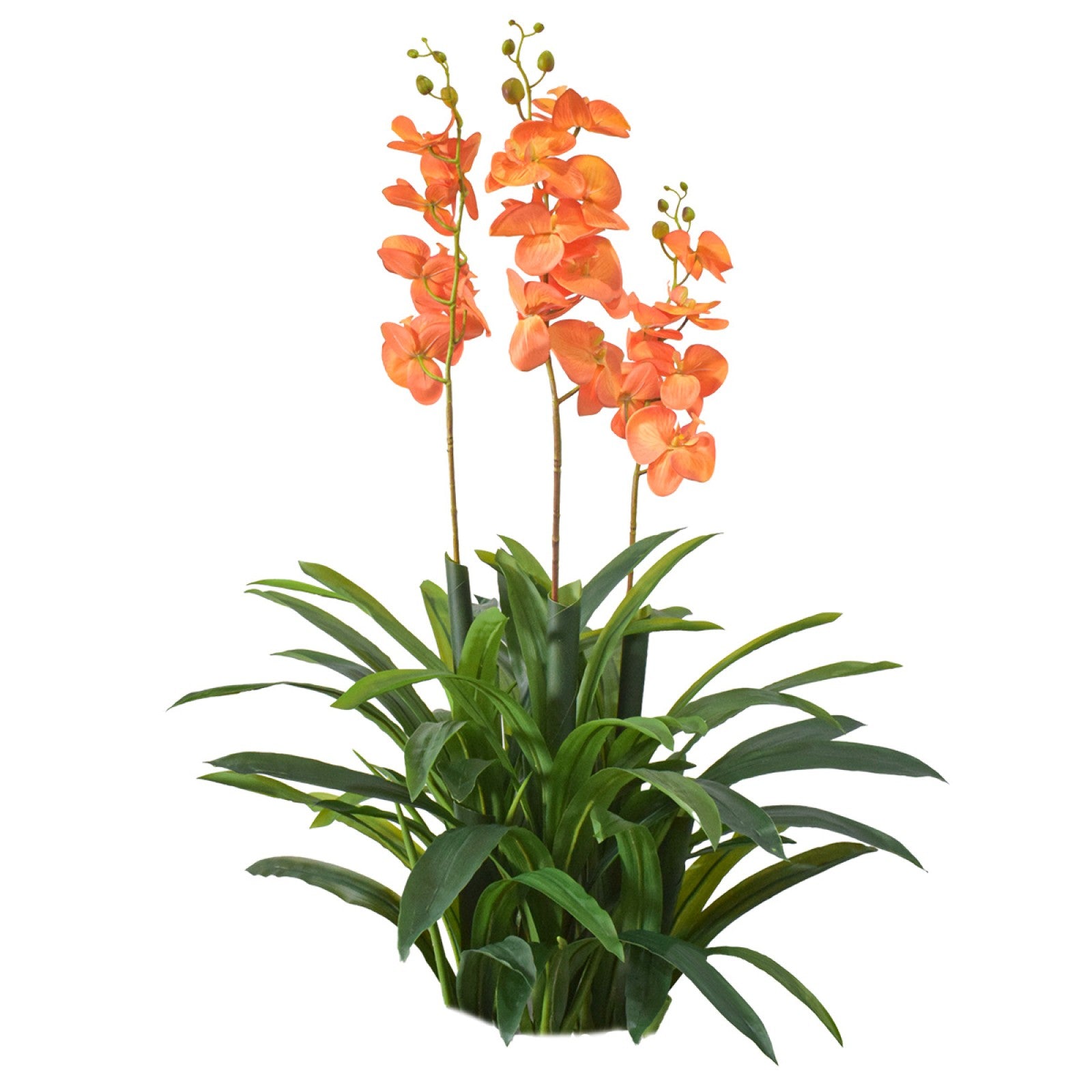 Orhidee molie fără ghiveci, 100x84 cm, Alb/Roz/Portocaliu ❘ D5621