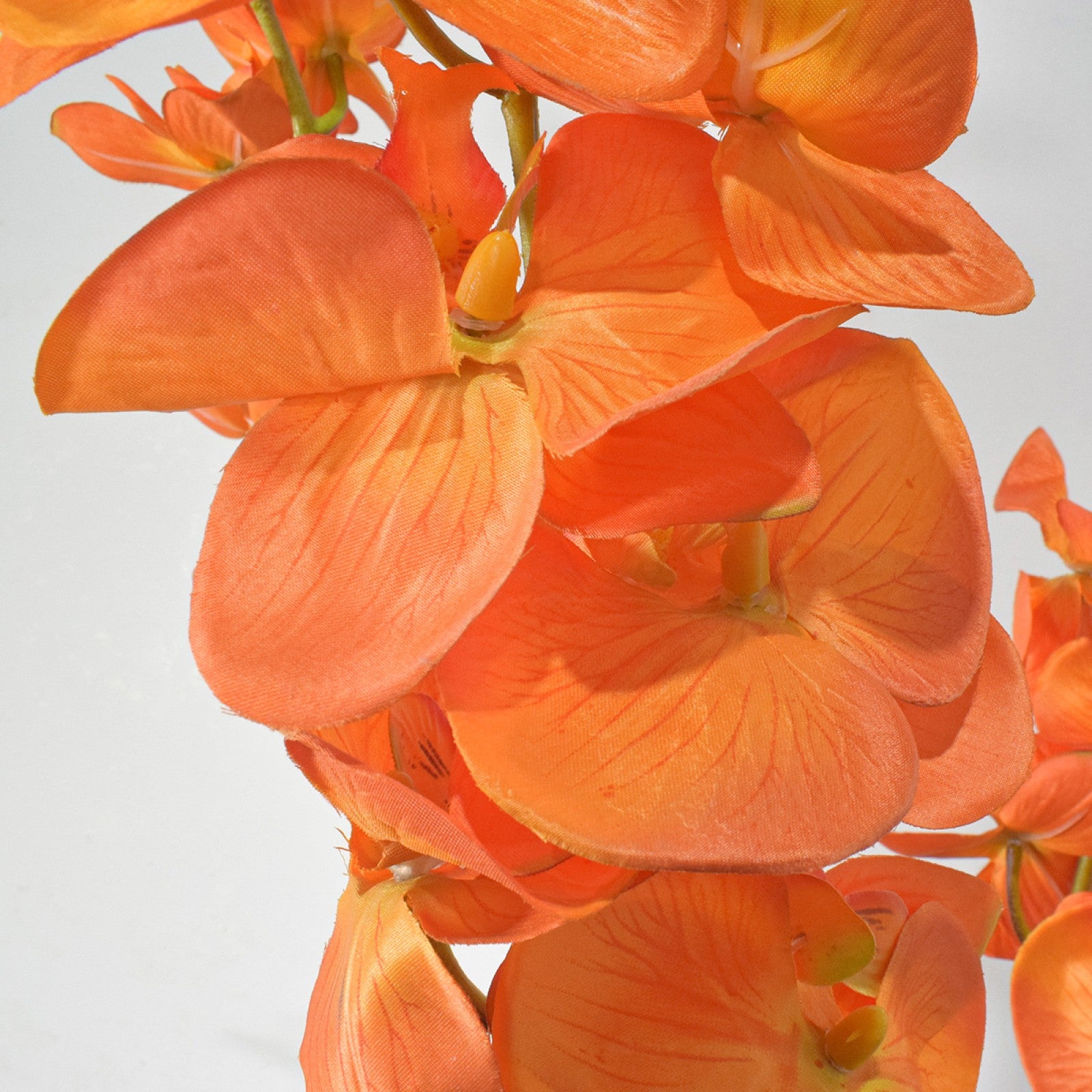 Orhidee molie fără ghiveci, 100x84 cm, Alb/Roz/Portocaliu ❘ D5621