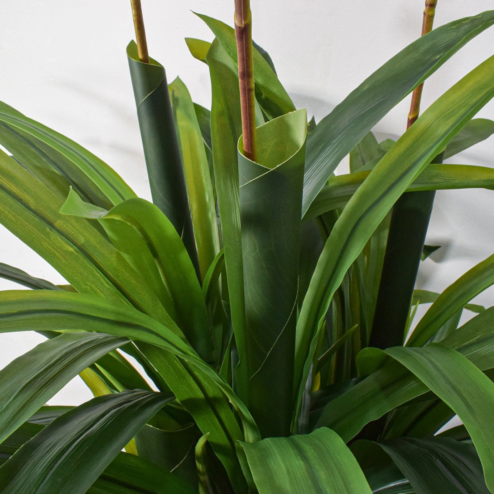 Orhidee molie fără ghiveci, 100x84 cm, Alb/Roz/Portocaliu ❘ D5621