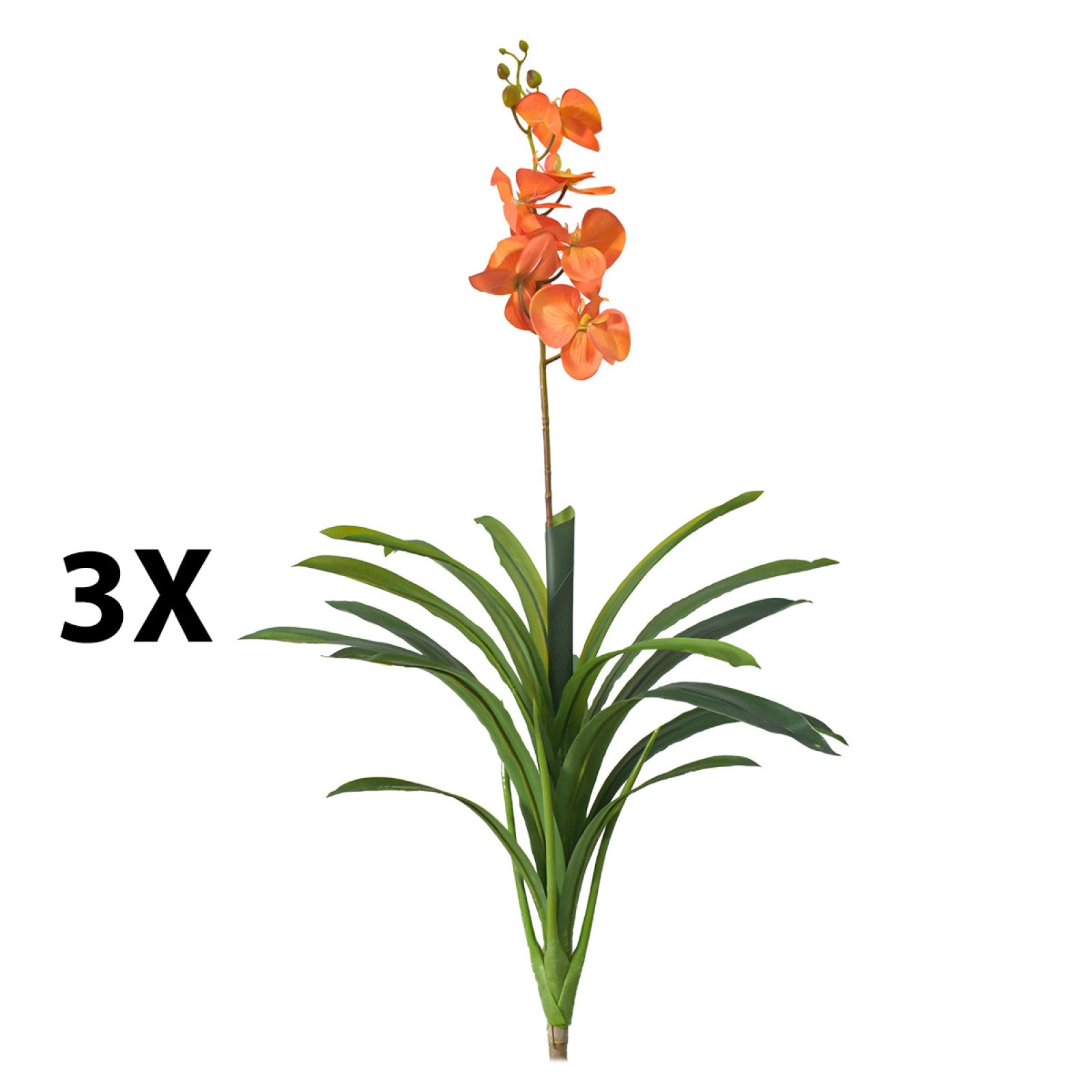 Orhidee molie fără ghiveci, 100x84 cm, Alb/Roz/Portocaliu ❘ D5621