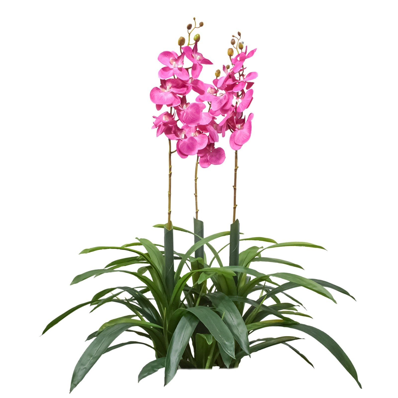 Orhidee molie fără ghiveci, 100x84 cm, Alb/Roz/Portocaliu ❘ D5621