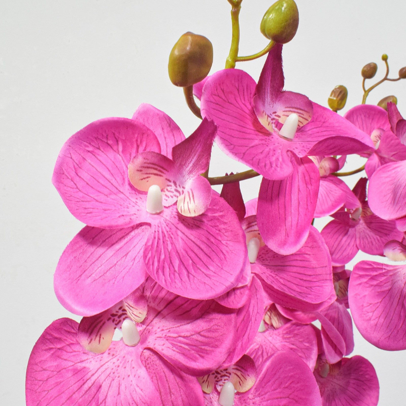 Orhidee molie fără ghiveci, 100x84 cm, Alb/Roz/Portocaliu ❘ D5621