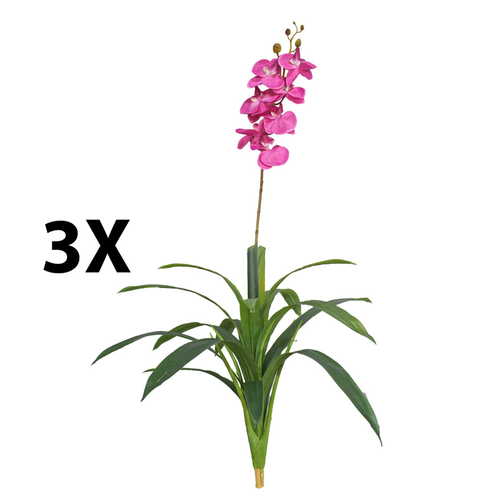 Orhidee molie fără ghiveci, 100x84 cm, Alb/Roz/Portocaliu ❘ D5621