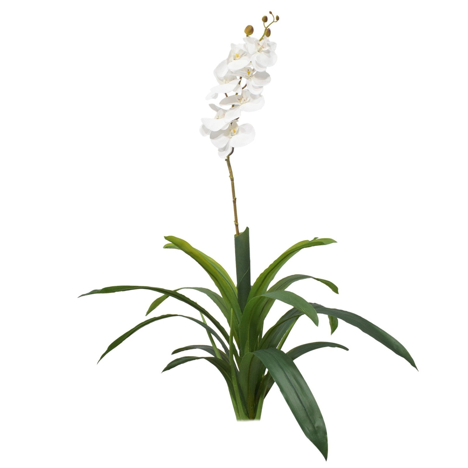 Orhidee fără ghiveci, 105x60 cm, Alb/Roz/Portocaliu ❘ D5623