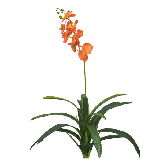 Orhidee fără ghiveci, 105x60 cm, Alb/Roz/Portocaliu ❘ D5623