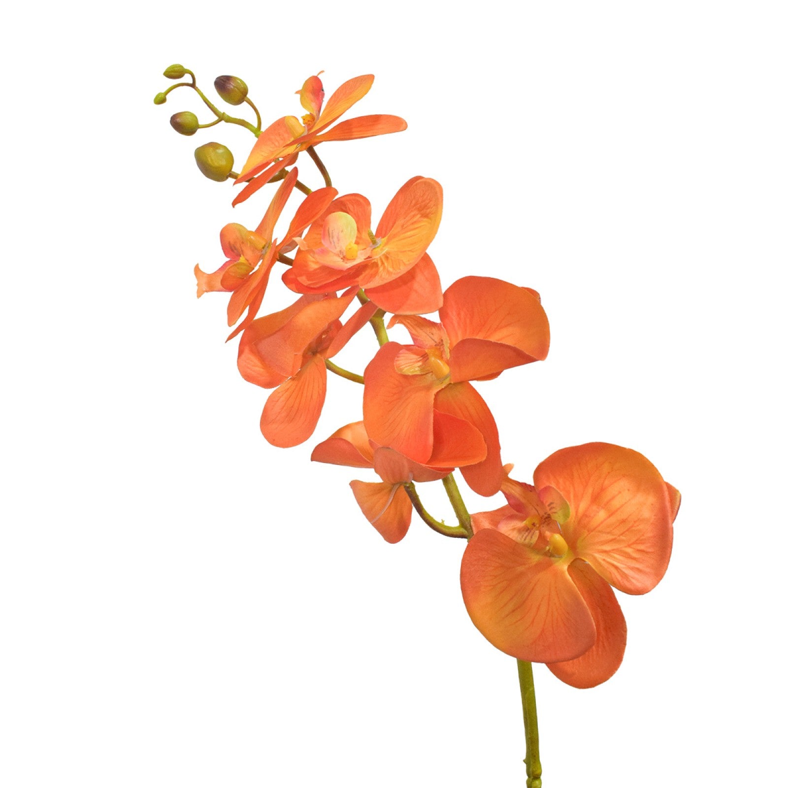 Orhidee fără ghiveci, 105x60 cm, Alb/Roz/Portocaliu ❘ D5623