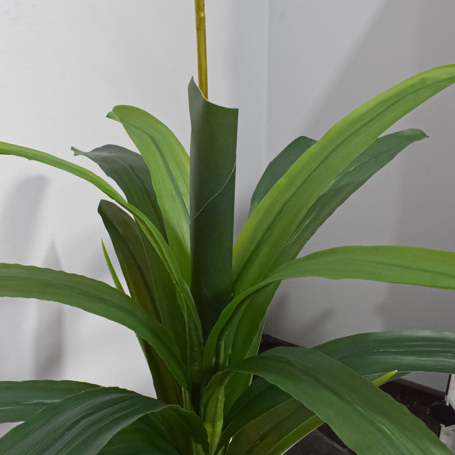 Orhidee fără ghiveci, 105x60 cm, Alb/Roz/Portocaliu ❘ D5623