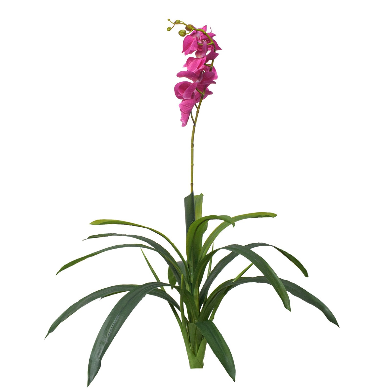 Orhidee fără ghiveci, 105x60 cm, Alb/Roz/Portocaliu ❘ D5623