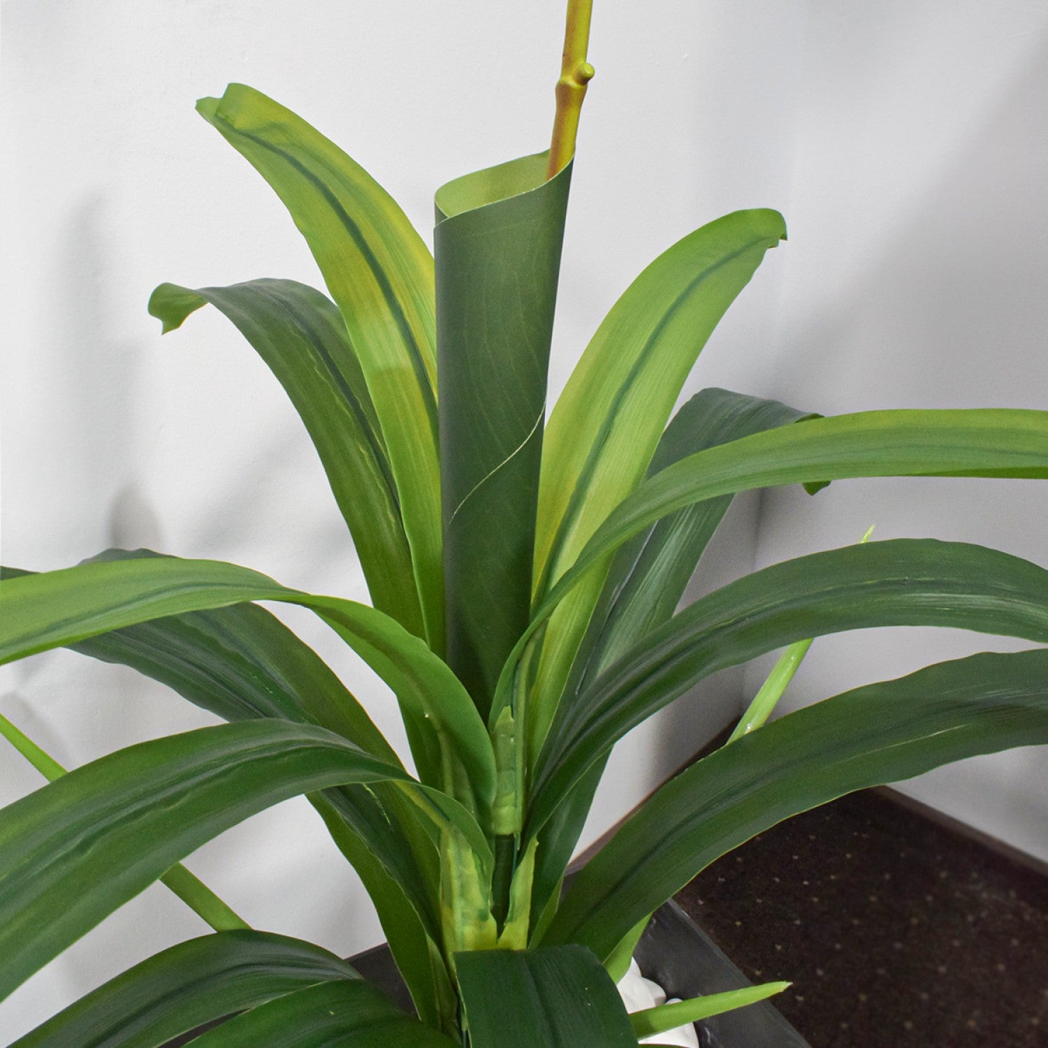 Orhidee fără ghiveci, 105x60 cm, Alb/Roz/Portocaliu ❘ D5623