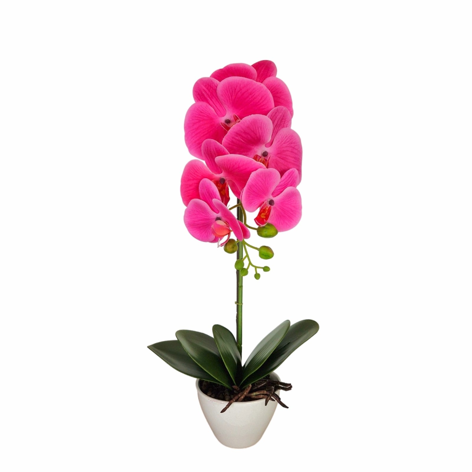 Orhidee cu aspect natural în ghiveci ceramic, 46 cm, diverse culori ❘ D5820