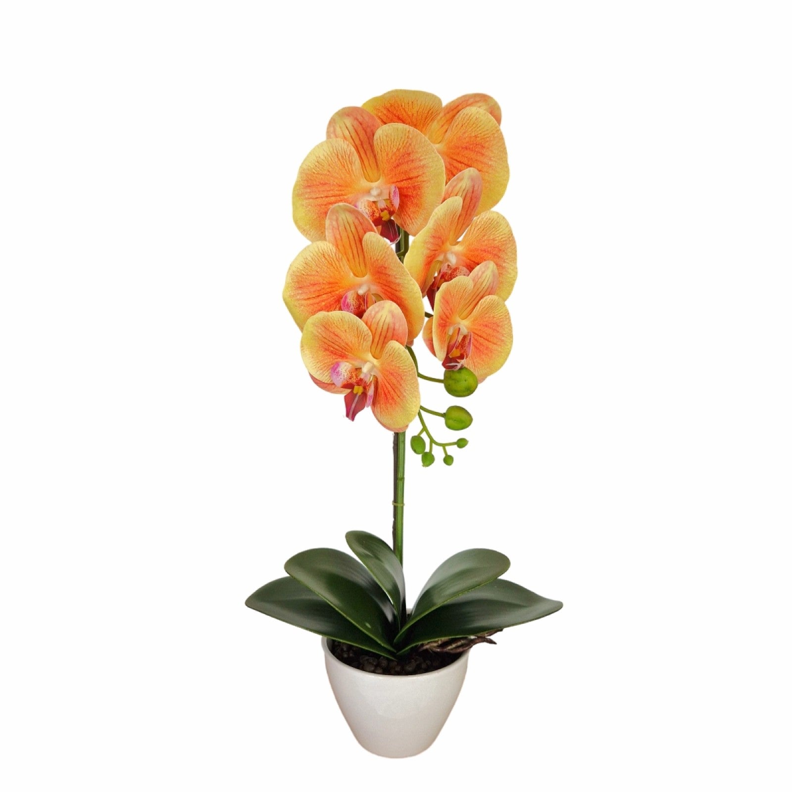 Orhidee cu aspect natural în ghiveci ceramic, 46 cm, diverse culori ❘ D5820